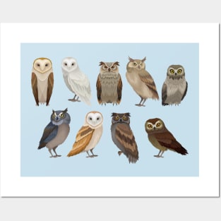 Owls Collection Posters and Art